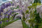 Landscapes & nature - miscellaneous