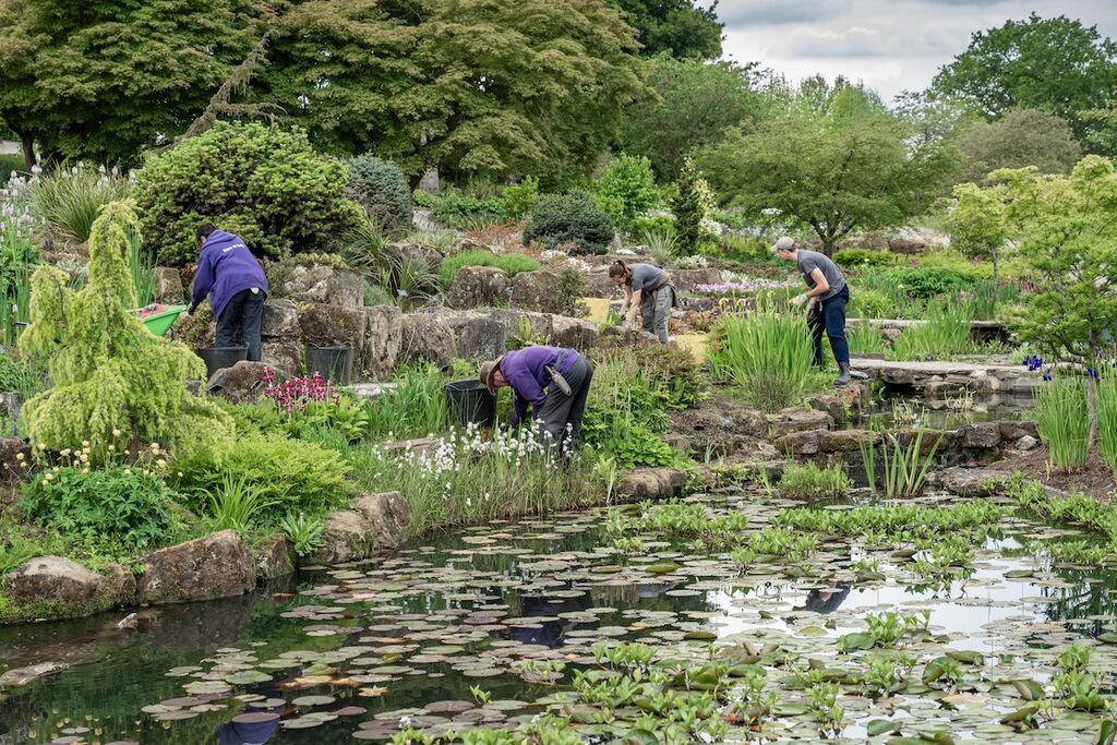 Gardeners & volunteers working at the Rock Garden