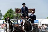 Horse drawn vehicles parade