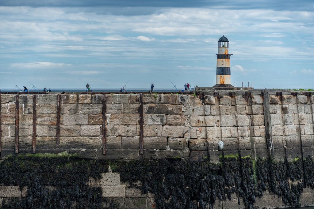 Fishing from the harbour wall