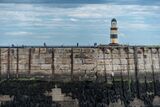 Fishing from the harbour wall