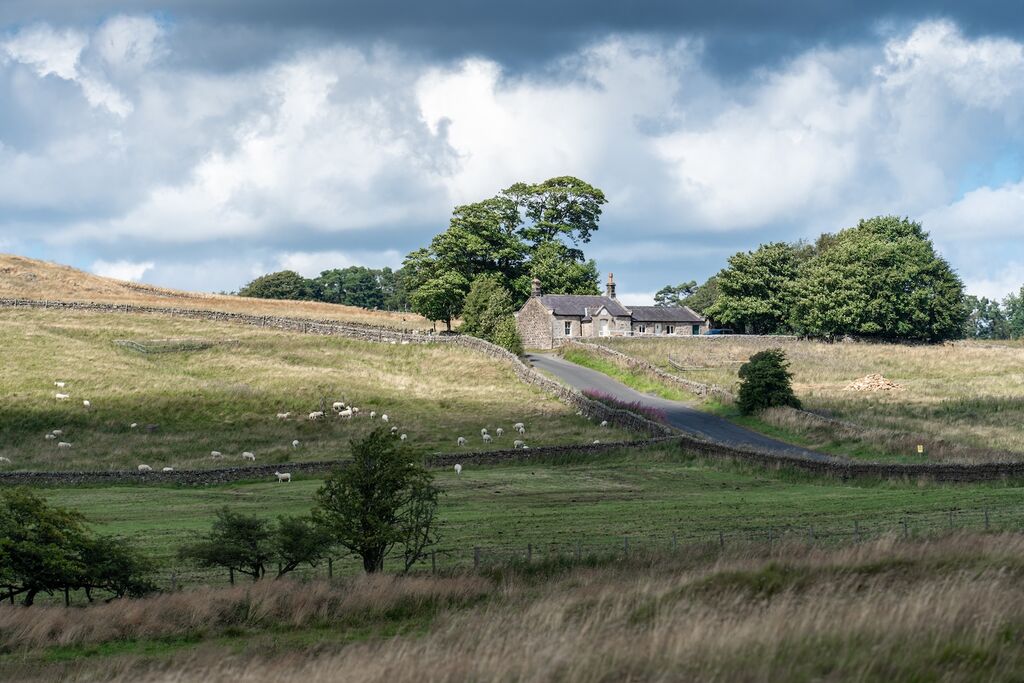 View near the Sycamore Gap