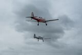 Chipmunk formation