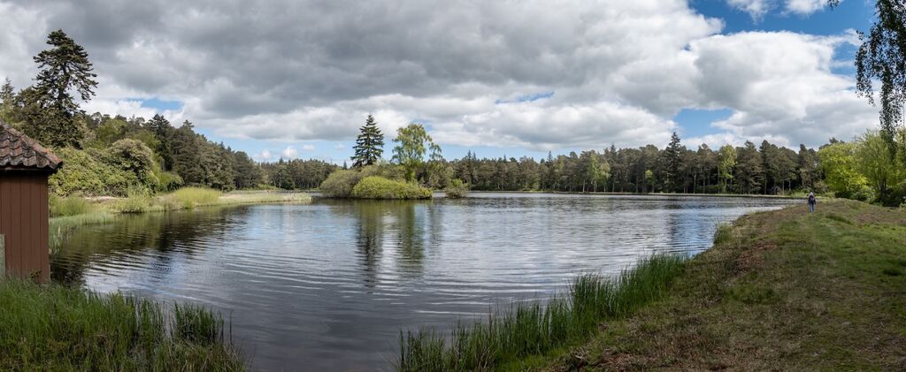 Nelly's Moss Lake panorama