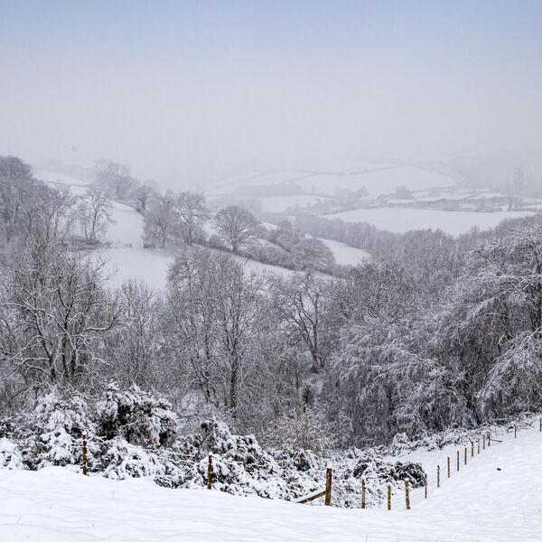 Brendon Hills Snow Scene , Somerset