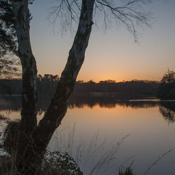 Sunset at Virginia Water Lake