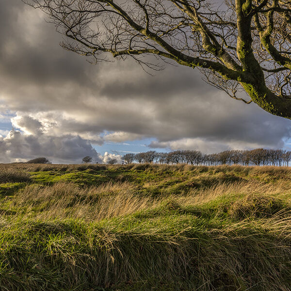 Winter Scene on Exmoor