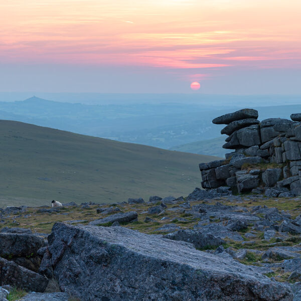 Great Staple Tor Dartmoor