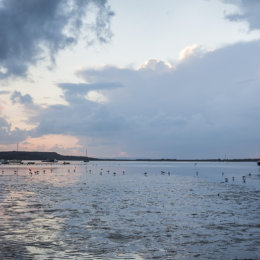 Mudeford Low Tide