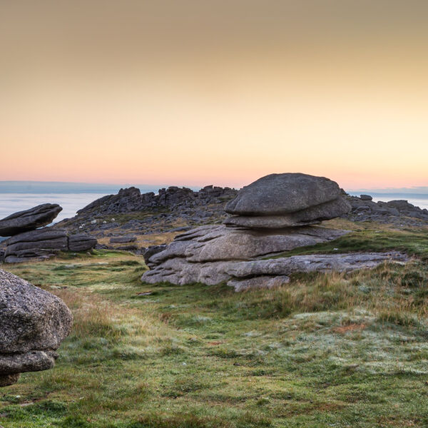 Rock Creatures at Belstone Tor