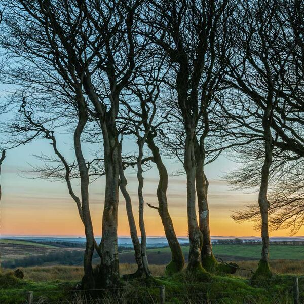 Silhouettes, Exmoor