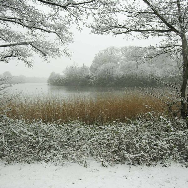 Snow at Virginia Water Lake
