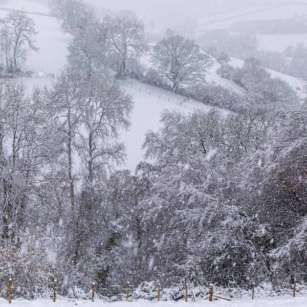 Snow on the Brendon Hills, Somerset