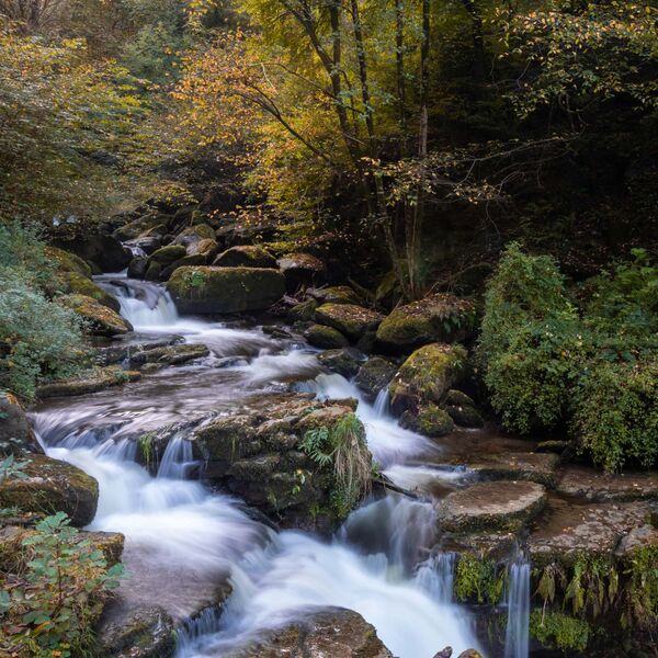 Waterfalls - Lynmouth, North Devon
