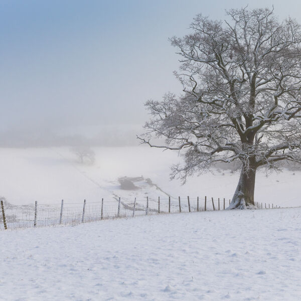 Snow on Maundown Hill above Wiveliscombe.