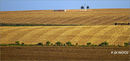 Grandcourt Road Cemetery, Somme.