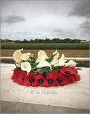 Guillemont.