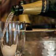 Social event photography