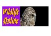 Wildlife On Line
