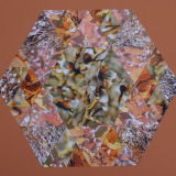 Pussy willows at Threave