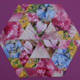 Pink Cabbage at Threave