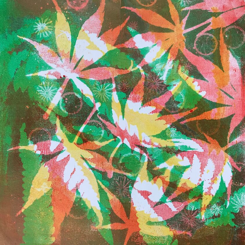 Acers and poppy seed heads