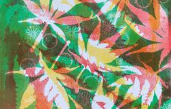 Acers and poppy seed heads