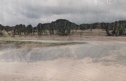 Still image from film 'High Tides and Shifting Sands'
