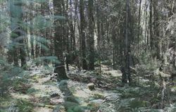 Still image from film 'Lament' (2019)