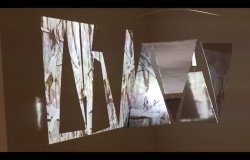 Installation still from 'The Quietest of Whispers'