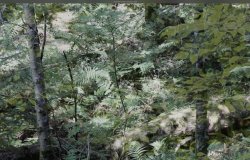 Still image of earth from the film 'everything must change' (2018)
