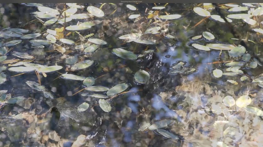 Still image of water from the film 'everything must change' (2018)