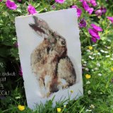 The Hare artwork