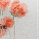 Contemporary Watercolour Poppies