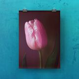 Tulip and Water Droplets