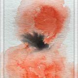 Contemporary Watercolour Poppies