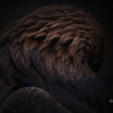 Golden Eagle abstract