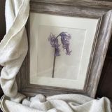Bluebell Artwork