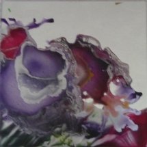 Lilac Blooms - wax on mirror