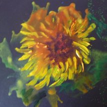 Sunshine - oil & wax on board