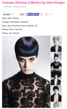 ANOTHER WINNING COLLECTION - Contessa Elite Master Hairstylist of the Year 2015!!