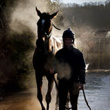 A horse steaming from the gallops, being led back to stables, Cotswolds equestrian photography by Thousand Word Media, Gloucestershire.
