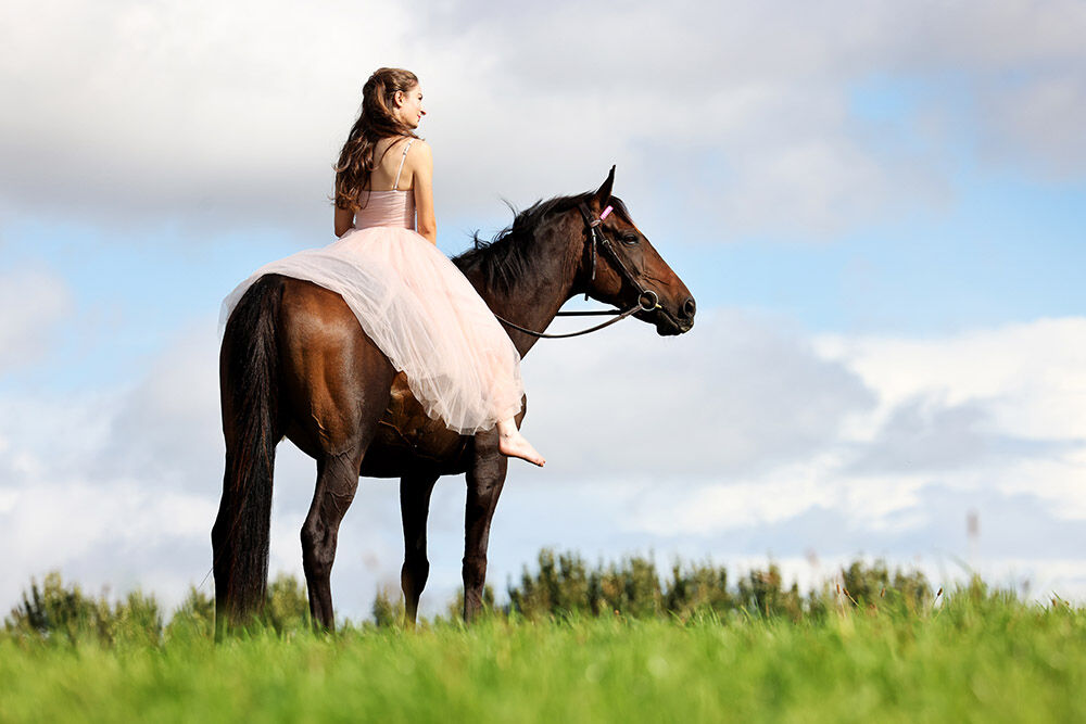 A portrait of a young woman, wearing an elegant long dress, sitting on a chestnut horse, with blue sky and clouds behind.