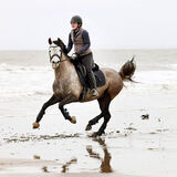 A horse being ridden through the sea, Cotswolds equestrian photography by Thousand Word Media, Gloucestershire.