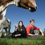 A cow looks over a  brother and sister with their award for making ice cream editorial photography by Thousand Word Media Gloucestershire.