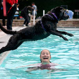 A dog leaps over it's owner into a swimming pool in Cheltenham editorial photography by Thousand Word Media Gloucestershire.