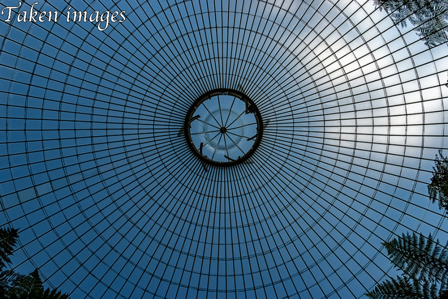 Circles