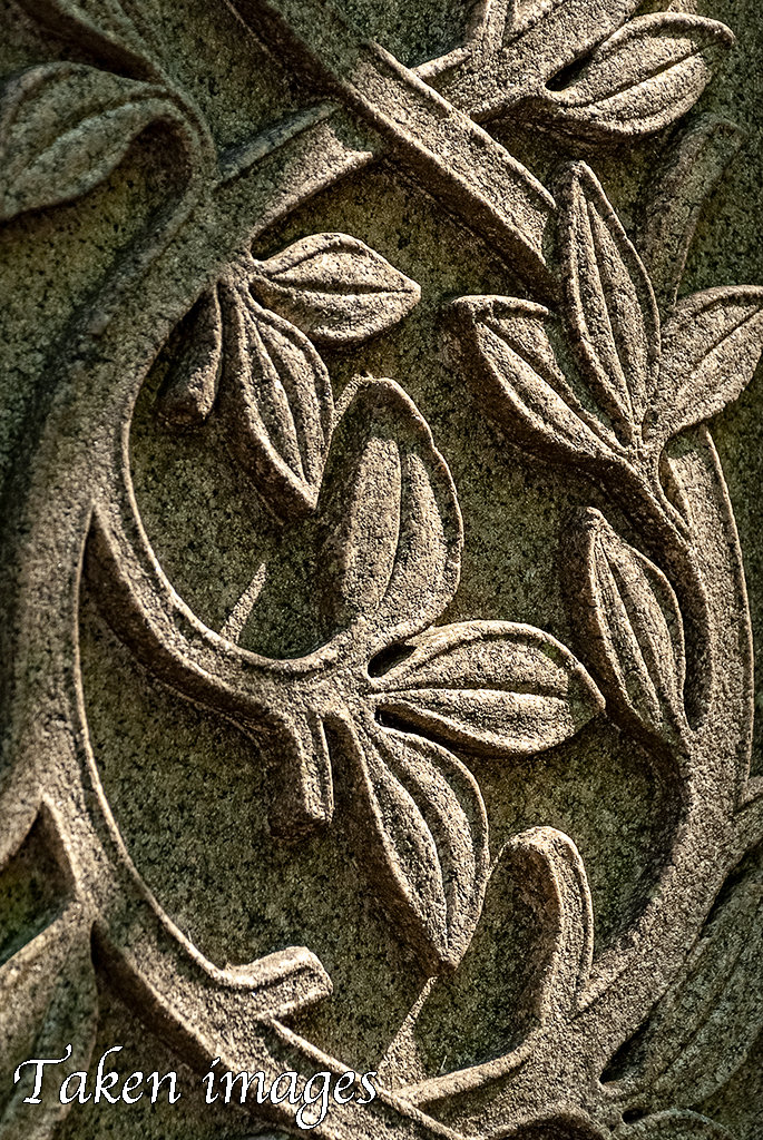 Detail #1