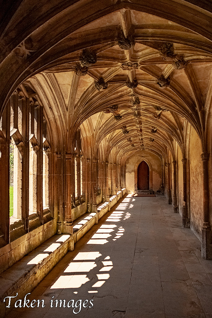 Cloisters #1