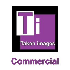 Commercial Photography Logo